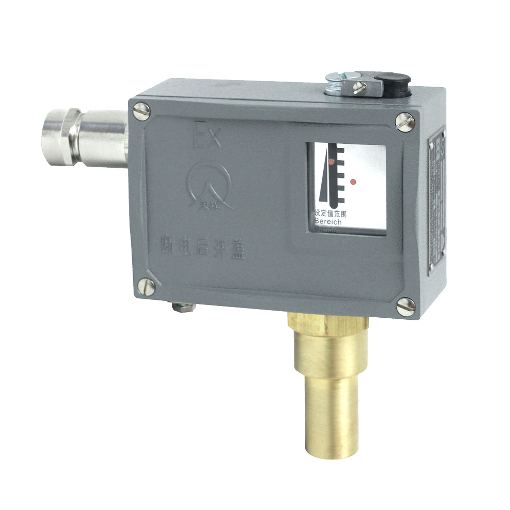 505/7D防爆壓力開關(guān) 505/7D防爆壓力開關(guān)